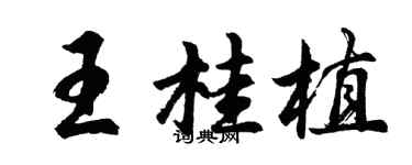 胡問遂王桂植行書個性簽名怎么寫
