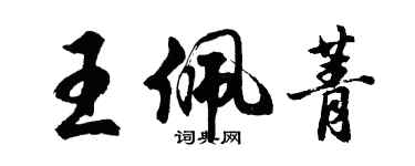 胡問遂王佩菁行書個性簽名怎么寫