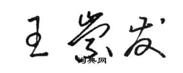 駱恆光王崇發草書個性簽名怎么寫