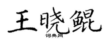 丁謙王曉鯤楷書個性簽名怎么寫