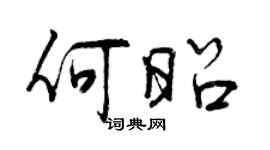 曾慶福何昭行書個性簽名怎么寫