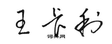 駱恆光王卡利草書個性簽名怎么寫