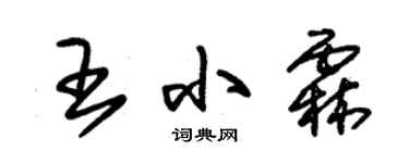 朱錫榮王小霖草書個性簽名怎么寫