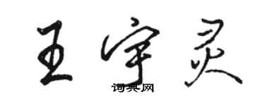 駱恆光王宇靈行書個性簽名怎么寫