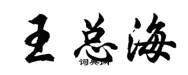 胡問遂王總海行書個性簽名怎么寫