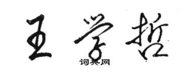 駱恆光王學哲行書個性簽名怎么寫