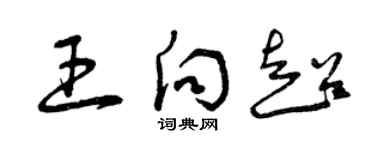曾慶福王向超草書個性簽名怎么寫