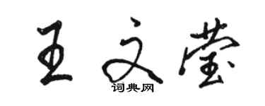 駱恆光王文瑩行書個性簽名怎么寫