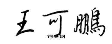 王正良王可鵬行書個性簽名怎么寫