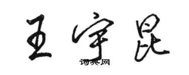 駱恆光王宇昆行書個性簽名怎么寫