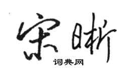 駱恆光宋晰行書個性簽名怎么寫