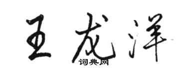 駱恆光王龍洋行書個性簽名怎么寫