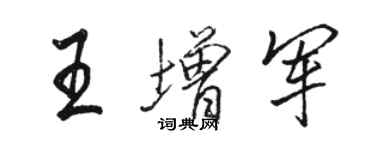 駱恆光王增軍行書個性簽名怎么寫