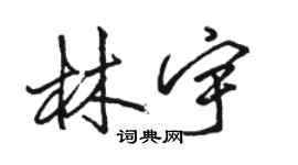 駱恆光林宇行書個性簽名怎么寫