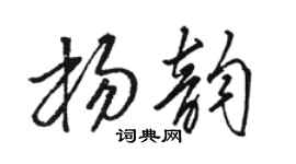 駱恆光楊韻草書個性簽名怎么寫