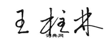 駱恆光王柱林草書個性簽名怎么寫