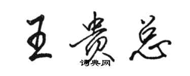 駱恆光王貴總行書個性簽名怎么寫