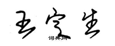 朱錫榮王定生草書個性簽名怎么寫