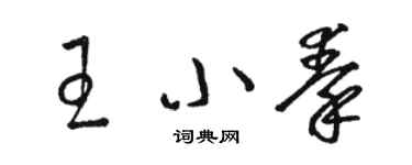 駱恆光王小秦草書個性簽名怎么寫