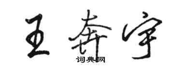 駱恆光王奔宇行書個性簽名怎么寫