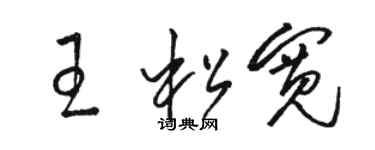 駱恆光王鬆寬草書個性簽名怎么寫