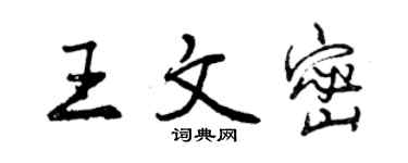 曾慶福王文密行書個性簽名怎么寫