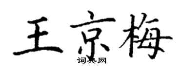 丁謙王京梅楷書個性簽名怎么寫