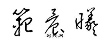 梁錦英范晨曦草書個性簽名怎么寫