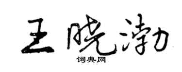 曾慶福王曉渤行書個性簽名怎么寫