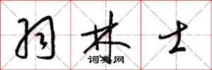 梁錦英羽林士草書怎么寫
