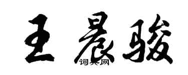 胡問遂王晨駿行書個性簽名怎么寫