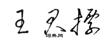 駱恆光王君標草書個性簽名怎么寫