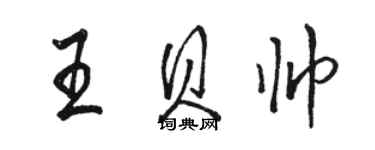 駱恆光王貝帥行書個性簽名怎么寫