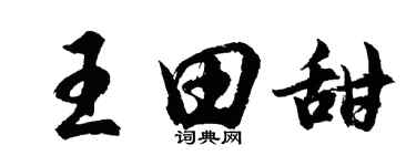 胡問遂王田甜行書個性簽名怎么寫
