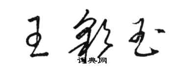 駱恆光王彩玉草書個性簽名怎么寫