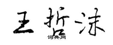 曾慶福王哲沫行書個性簽名怎么寫