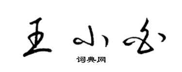 梁錦英王小白草書個性簽名怎么寫