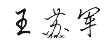 駱恆光王蘇軍行書個性簽名怎么寫