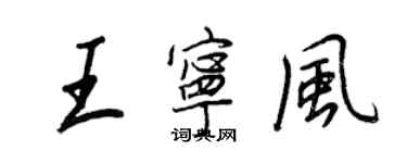 王正良王寧風行書個性簽名怎么寫