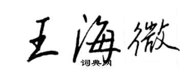 王正良王海微行書個性簽名怎么寫
