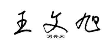 梁錦英王文旭草書個性簽名怎么寫