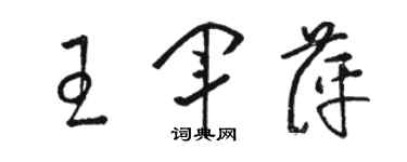 駱恆光王軍萍草書個性簽名怎么寫