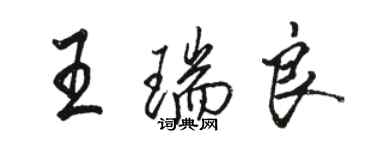 駱恆光王瑞良行書個性簽名怎么寫