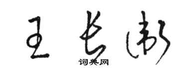 駱恆光王長衛草書個性簽名怎么寫