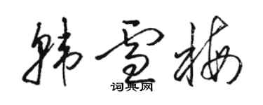 駱恆光韓雪梅草書個性簽名怎么寫