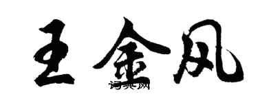 胡問遂王金風行書個性簽名怎么寫