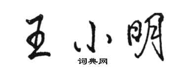 駱恆光王小明行書個性簽名怎么寫