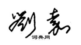 朱錫榮劉嘉草書個性簽名怎么寫