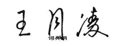 駱恆光王月凌草書個性簽名怎么寫