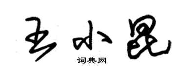 朱錫榮王小昆草書個性簽名怎么寫